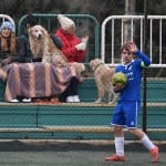 Sport - NOGOMET - 2. AMATERSKA LIGA - Roianese - Sovodnje