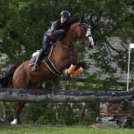 Sport - konjski sporti - evropski pokal, italijansko drzavno prvenstvo in trofej dezel v disciplini trek