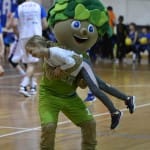 Sport - KOSARKA - DRZAVNA C LIGA GOLD - Jadran Motomarine - Verona