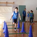 Skokičin vrtiljak Dolina