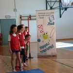 Skokičin vrtiljak Dolina