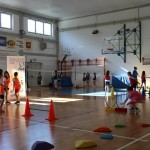 Skokičin vrtiljak Dolina