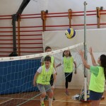 Skokičin vrtiljak Dolina