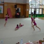 gimnastika odlični nastopi  Borovih gimnastičark