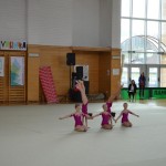 gimnastika odlični nastopi  Borovih gimnastičark