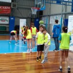 Skokičin vrtiljak na Stadionu 1. maja