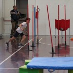 ZSŠDI; v finalu jezikovnega poligona zmagala NSŠ Simona Gregor