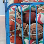 ZSŠDI; v finalu jezikovnega poligona zmagala NSŠ Simona Gregor