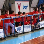 Skokičin vrtiljak na Stadionu 1. maja