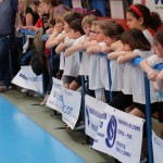 Skokičin vrtiljak na Stadionu 1. maja