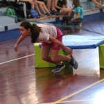 ZSŠDI; v finalu jezikovnega poligona zmagala NSŠ Simona Gregor