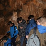 ZSŠDI, finale jezikovnega poligona