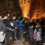 ZSŠDI, finale jezikovnega poligona