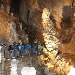 ZSŠDI, finale jezikovnega poligona