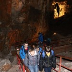 ZSŠDI, finale jezikovnega poligona