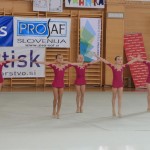 gimnastika odlični nastopi  Borovih gimnastičark