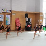 gimnastika odlični nastopi  Borovih gimnastičark