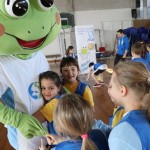 Skokičin vrtiljak, 5. etapa