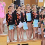 gimnastika odlični nastopi  Borovih gimnastičark