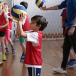 Skokičin vrtiljak, 5. etapa