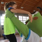 Skokičin vrtiljak, 5. etapa