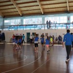 Skokičin vrtiljak, 5. etapa