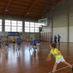 Skokičin vrtiljak, 5. etapa