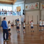 Skokičin vrtiljak, 5. etapa