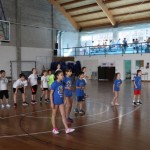 Skokičin vrtiljak, 5. etapa