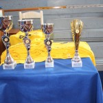 ZSŠDI; v finalu jezikovnega poligona zmagala NSŠ Simona Gregor