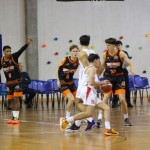 Košarka No borders : Pallacanestro Trieste Jadran - Orange 1