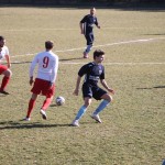 1. Al: Primorec - Vesna 0:1