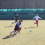 1. Al: Primorec - Vesna 0:1