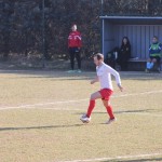 1. Al: Primorec - Vesna 0:1