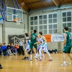 Mitja Emili-Z91_6101 (960px)