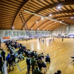 Mitja Emili-Z92_4742 (960px)