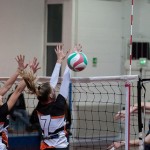 1. ženska divizija Kontovel - Olympia TS