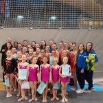 V Mariboru tudi Borove gimnastičarke