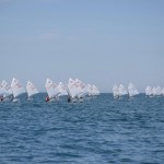 Velikonočna regata