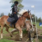 Sport - konjski sporti - evropski pokal, italijansko drzavno prvenstvo in trofej dezel v disciplini trek