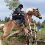 Sport - konjski sporti - evropski pokal, italijansko drzavno prvenstvo in trofej dezel v disciplini trek