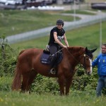 Sport - konjski sporti - evropski pokal, italijansko drzavno prvenstvo in trofej dezel v disciplini trek