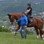 Sport - konjski sporti - evropski pokal, italijansko drzavno prvenstvo in trofej dezel v disciplini trek