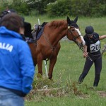 Sport - konjski sporti - evropski pokal, italijansko drzavno prvenstvo in trofej dezel v disciplini trek