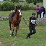 Sport - konjski sporti - evropski pokal, italijansko drzavno prvenstvo in trofej dezel v disciplini trek