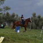 Sport - konjski sporti - evropski pokal, italijansko drzavno prvenstvo in trofej dezel v disciplini trek