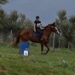 Sport - konjski sporti - evropski pokal, italijansko drzavno prvenstvo in trofej dezel v disciplini trek