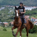 Sport - konjski sporti - evropski pokal, italijansko drzavno prvenstvo in trofej dezel v disciplini trek