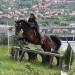 Sport - konjski sporti - evropski pokal, italijansko drzavno prvenstvo in trofej dezel v disciplini trek