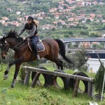 Sport - konjski sporti - evropski pokal, italijansko drzavno prvenstvo in trofej dezel v disciplini trek